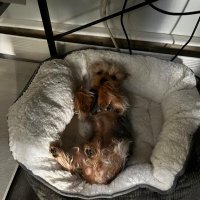 SecondWind (@secondwindnft) 's Twitter Profile