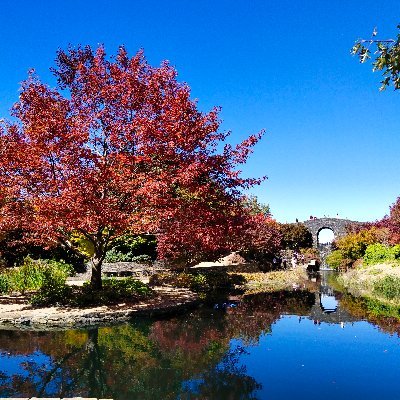 nkumar8421's profile picture. Full time Job , Long term investor , New Trader