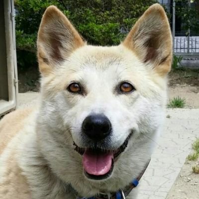 積木さんのプロフィール画像