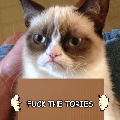 FUCK THE TORIES