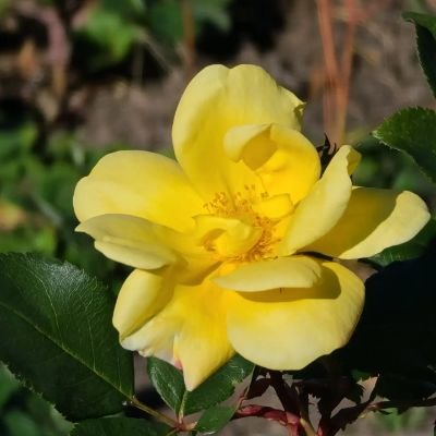 laurawa51149836's profile picture. 