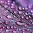 getlifetimeaccess.base.eth Basenames (.base.eth domains) based on ENS PFP