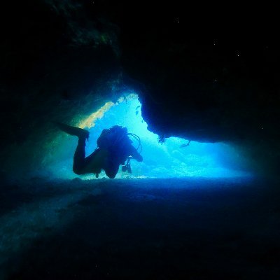 Louisleech's profile picture. 