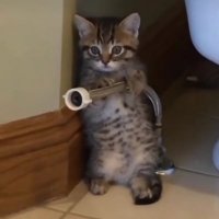 xx (@jax23632335) 's Twitter Profile