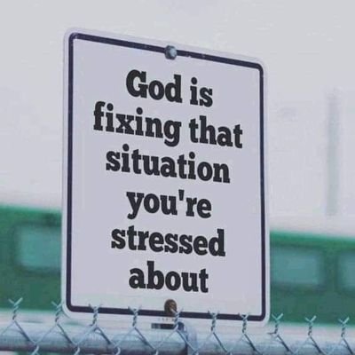 EvansKo03003958's profile picture. Serious pedagogy