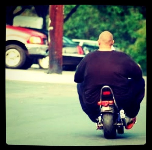 Fatty250's profile picture. Hey guys, Jimmy Lard here. I am beautiful. And dont fucking argue with me about it