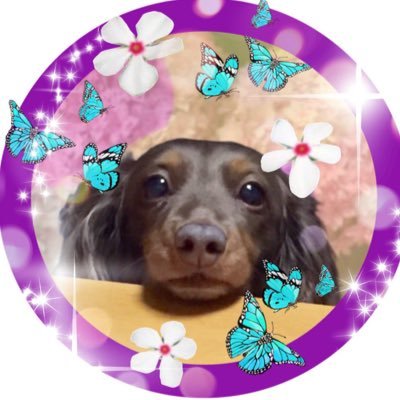 ふとした事からけいちゃんのYouTubeを観てけいちゃん沼に😀 💕 Twitter♡インスタ♡ファンクラブと初めての事けいちゃんで経験させて貰ってます❣️ 無言フォロー無言いいね大歓迎😀 #チームけいちゃん所属😍 プロフィール画像はセロリちゃんに作って頂きました🙇✨