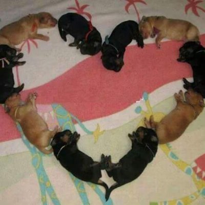 Papatony9090's profile picture. 