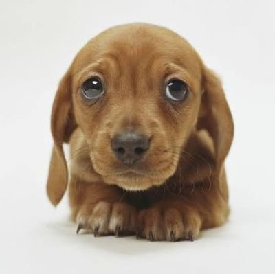 JakePkrs's profile picture. It's me! Hi 👋  I'm the problem, it's me 😅
he/him/his 🏳️‍🌈🧪⚛️