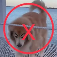 Vink isamiscreant 😡(@isamiscreant) 's Twitter Profile Photo