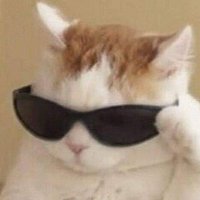 JSneko (@jsneko) 's Twitter Profile