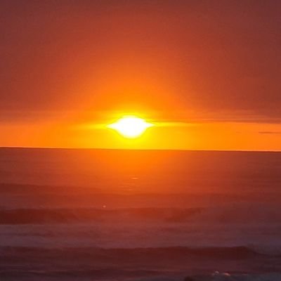 AnaBartl1's profile picture. 