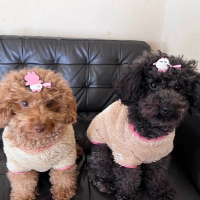 etsu_0215's profile picture. 