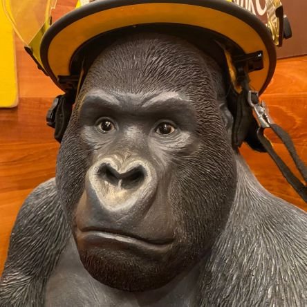 semina5342's profile picture. SM好きのおっちゃんです!
鞭と緊縛をこよなく愛しています!
色んな玩具も用意して待っています!