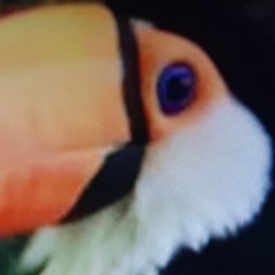 正常眼圧緑内障(目薬ミケルナ)。ドライアイ。飛蚊症。術後慢性疼痛。
無言フォロー失礼します。
いいねは応援、共感🐦