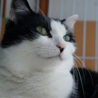 NCC1031 (@zncc1701) Twitter profile photo