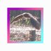 🐒おさる🐒 (@_o_sa_ru_) Twitter profile photo 🐒おさる🐒 (@_o_sa_ru_) Twitter profile photo