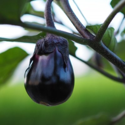 daichireformpr's profile picture. 大地建設株式会社は岸和田市で各種リフォームを行っています。
---
リノベーション・改修工事・内装リフォーム・ 水回りリフォーム・外装リフォーム・造作大工・外構・屋根・外壁・塗装・防水・左官・設備・電気・基礎工事・コンクリート工事など