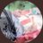 alatlas_2's profile image