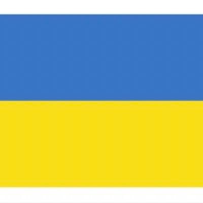 International non-governmental organization based in France  created in accordance with the challenge of time and events that are taking place in Ukraine.