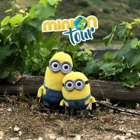 MiniOnTour (@miniontoures) 's Twitter Profile
