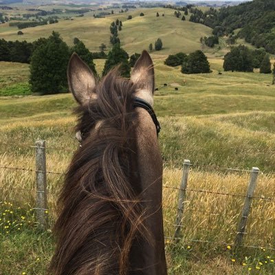 اسأل الله أن يطرأ على حياتنا التغيّر الذي يطرأ على أرضٍ جافه غشاها مطر🐎'