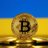 petrov063's profile image