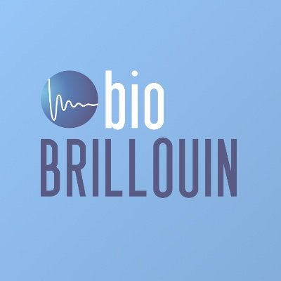 The International BioBrillouin society represents the community of scientists interested in Brillouin Light Scattering Spectroscopy in biology and medicine.