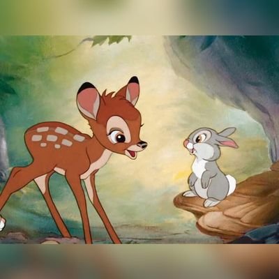 Anne_2097's profile picture. Degree in Life Science. Passionate about playing & teaching the piano. Love food, animals/birds, sports, and comedy movies. A retweeter & meme lover.