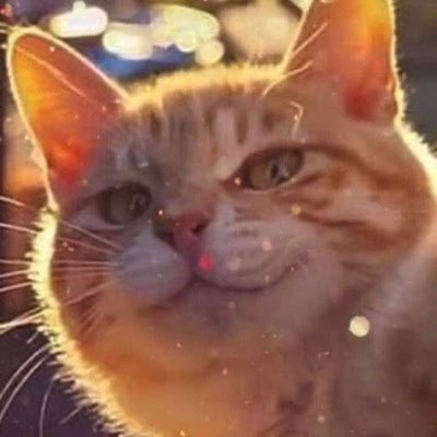 8fiKTo08TaeOojr's profile picture. 水泳アカウント 大人にになってからハマった 32歳　田舎暮らし