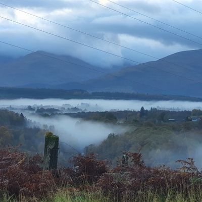 Gary Servant and the team. 
Upland Ecology
Upland Forestry
Upland Forestry Ltd