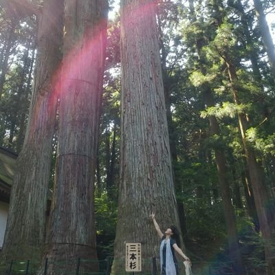 pokettomama's profile picture. 京都在住～３人の母（子１＝社会人・男、子２＝社会人・女、子３＝社会人・女）
子たちは  みんな  それぞれ家庭をもちました♡
６人のばあば（孫子守りミッションが増えてきました(笑)）
ここ数年甥っ子ラグビー🏉の追っかけしてます。
大学ラグビーから、リーグ１へ🏉
♡サザンファン♡  そして　着物大好き。