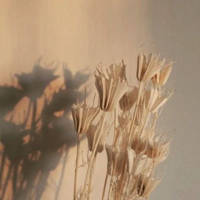 FaridaHariyan17's profile picture. Jangan Lupa untuk selalu Libatkan Allah dalam setiap hal❤
~Lillahita'ala~