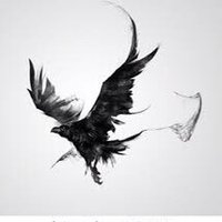 عمو شهاب (@_amushahab) 's Twitter Profile