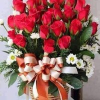 Oscar McGrew (@oscarmcgrew12) 's Twitter Profile