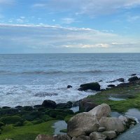 soy feliz (@migrana08142738) 's Twitter Profile