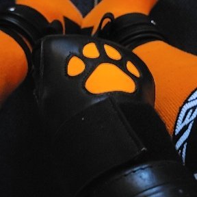 RedPandaMutt's profile picture. Cisgendered Male Dog