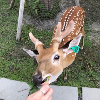 ch83050201's profile picture. Bob