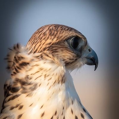 ‏‏‏‏سبحان الله وبحمده سبحان الله العظيم 🦋🍁