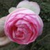 jardinier maxime (Pro). (@bouhetmaxime) Twitter profile photo jardinier maxime (Pro). (@bouhetmaxime) Twitter profile photo