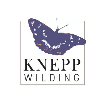 KneppWilding Profile Picture