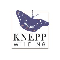 Knepp Wilding(@KneppWilding) 's Twitter Profile Photo