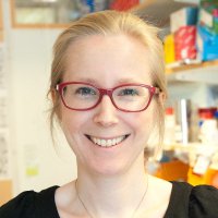 Maria Genander (@genanderlab) 's Twitter Profile Photo