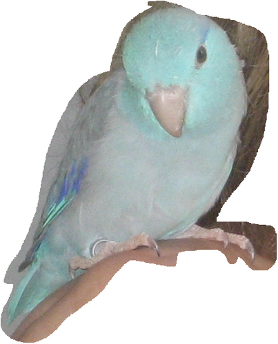 paulaargento's profile picture. 