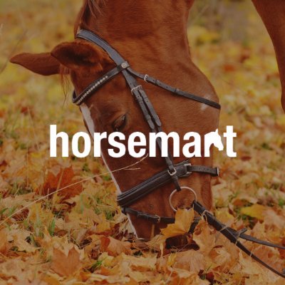 Horsemart.co.uk (@Horsemart) / X