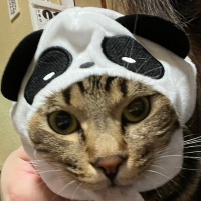 OBKさんのプロフィール画像