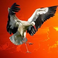 💔🇵🇱Bociek Kul🇵🇱 (@kulbociek) 's Twitter Profile