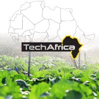 Tech Africa(@techafricazim) 's Twitter Profile Photo
