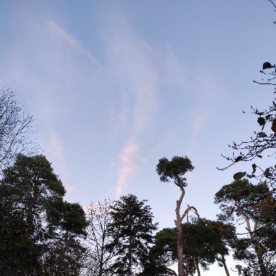 jacksteeltweets's profile picture. Public policy enthusiast. Mainly focussed on Health Policy.