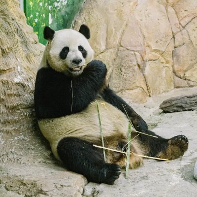 raku1055's profile picture. 楽天市場🧺https://t.co/RM3kq2gCKF｜楽天トラベル🧳https://t.co/UlAAVlB083｜国内ツアー🚄https://t.co/YmBqgzQ8gn｜高速バス🚌https://t.co/RJmTSXyVdr｜Amazonのアソシエイトとして、楽々オススメは適格販売により収入を得ています